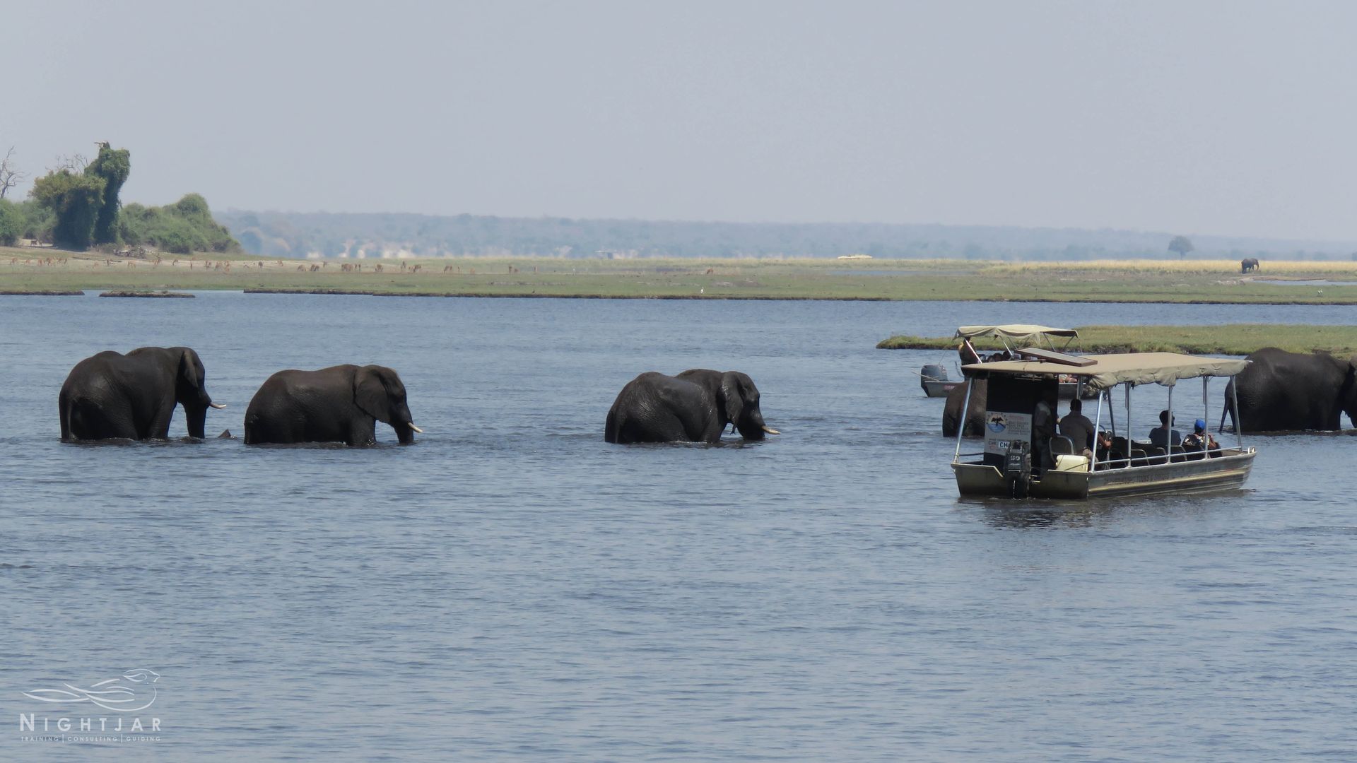 Chobe River