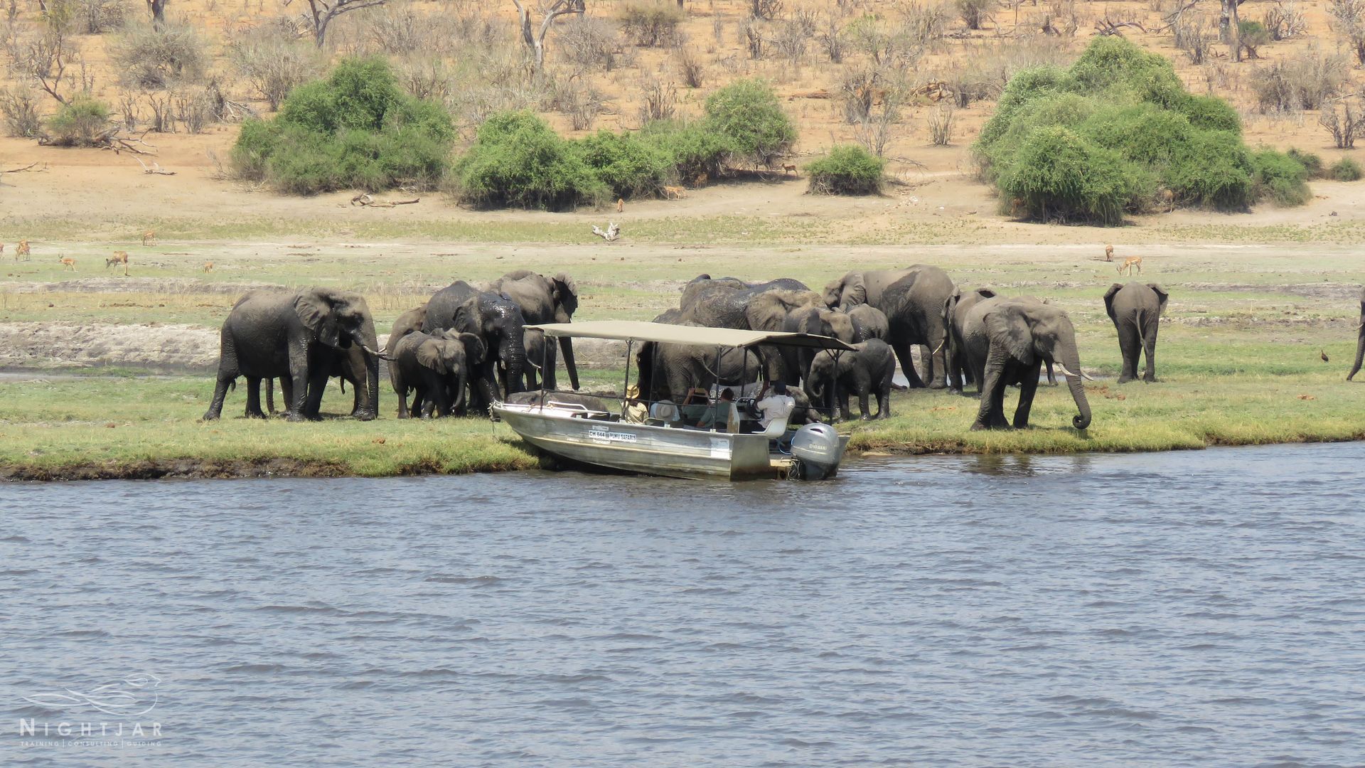 Chobe River