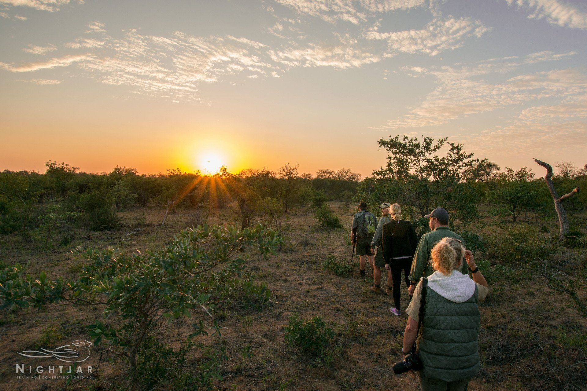 Nightjar | Trails Guide & ARH Mentorships