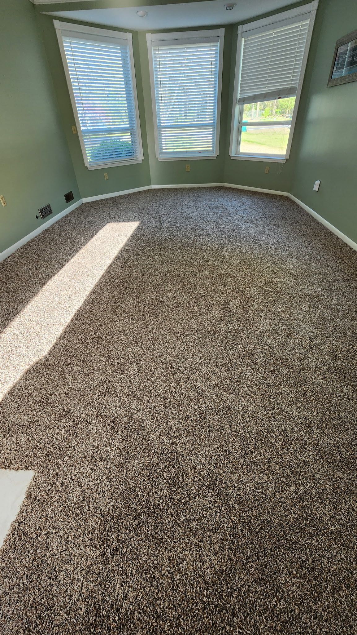 A room with a bay window, new brown carpet, and pale green walls. Sunlight streams in.