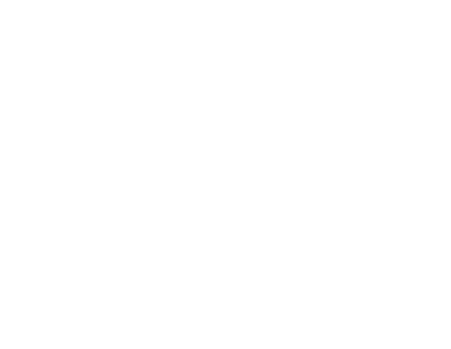 ford logo