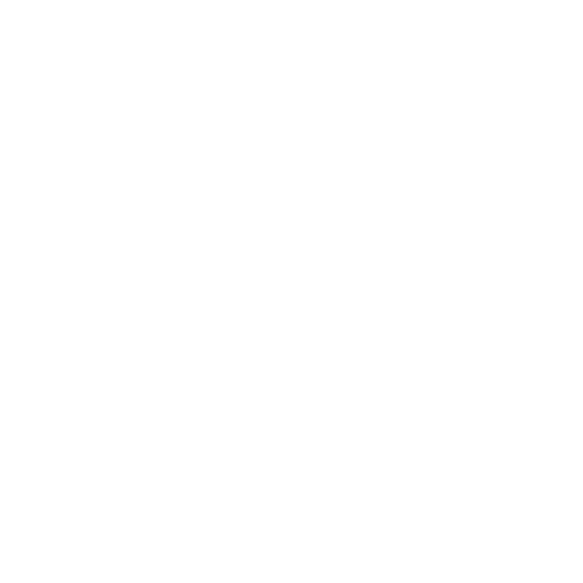 tesla logo