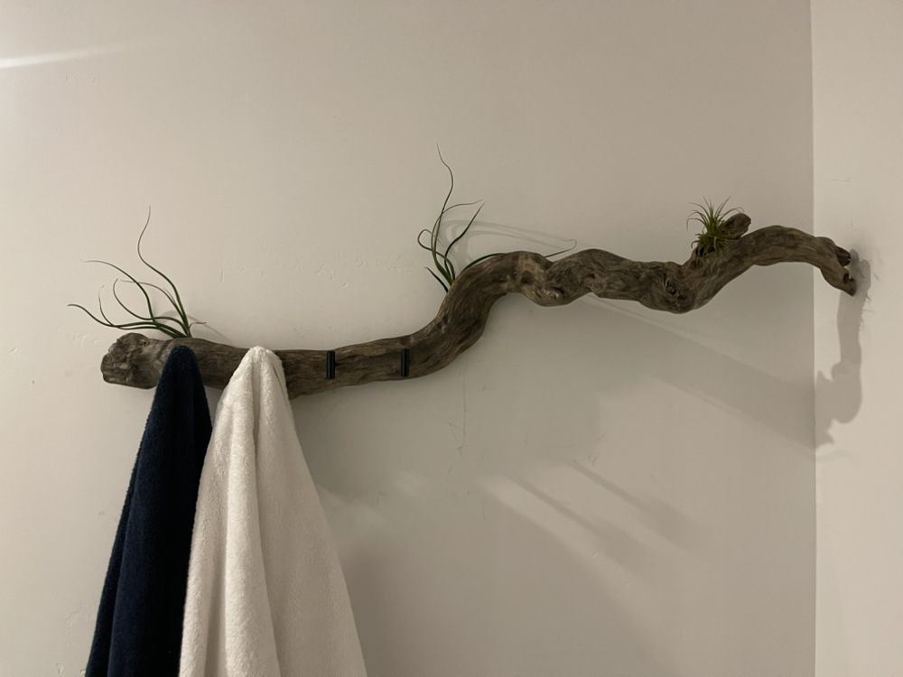Two towels are hanging on a wooden branch on a wall.