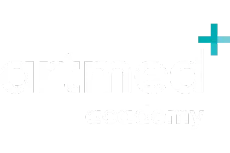 Logo Artmed Academy