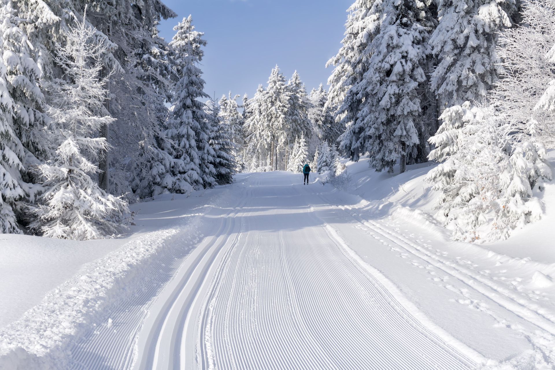 Snowy cross-country ski trail winding through a forest, two skiers visible in the distance.