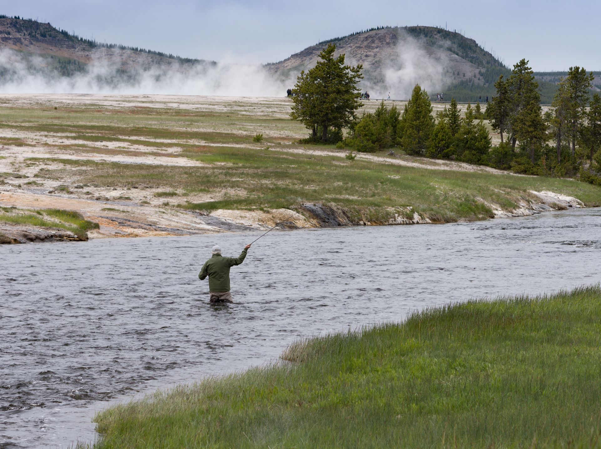 Fisherman in waders casts a line in a river, thermal area in the background with mist rising.