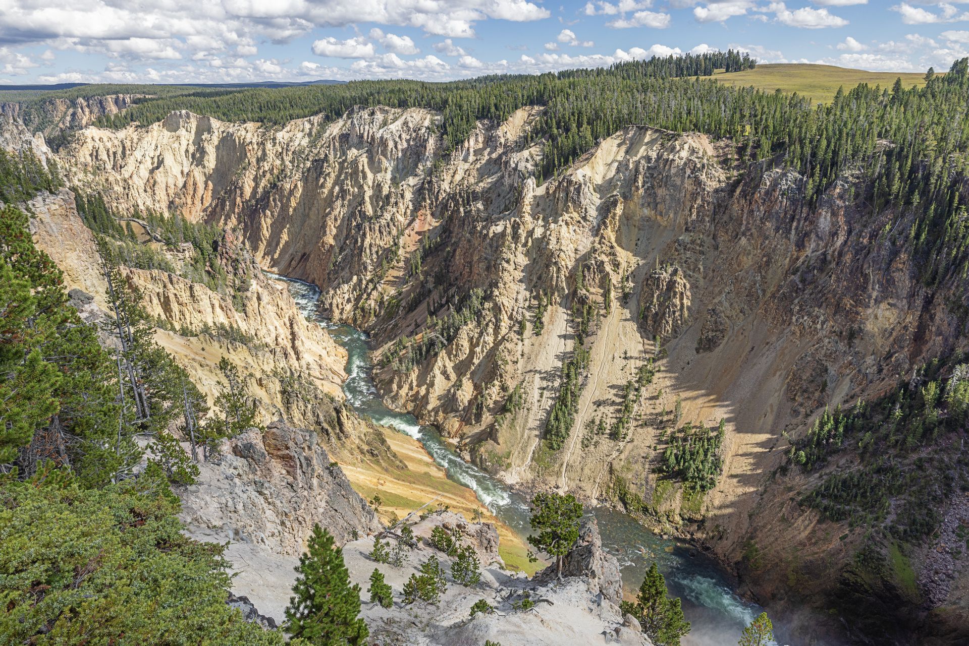 Yellowstone Canyon with river, steep rock walls, and trees.