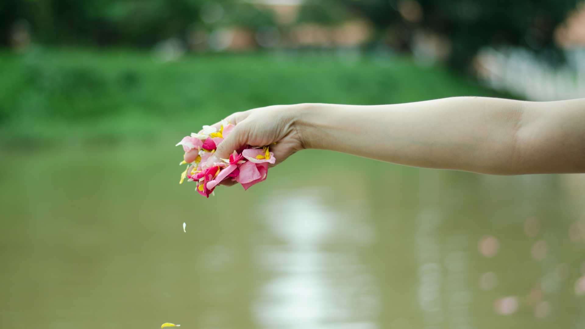 Scattering the Cremated Remains