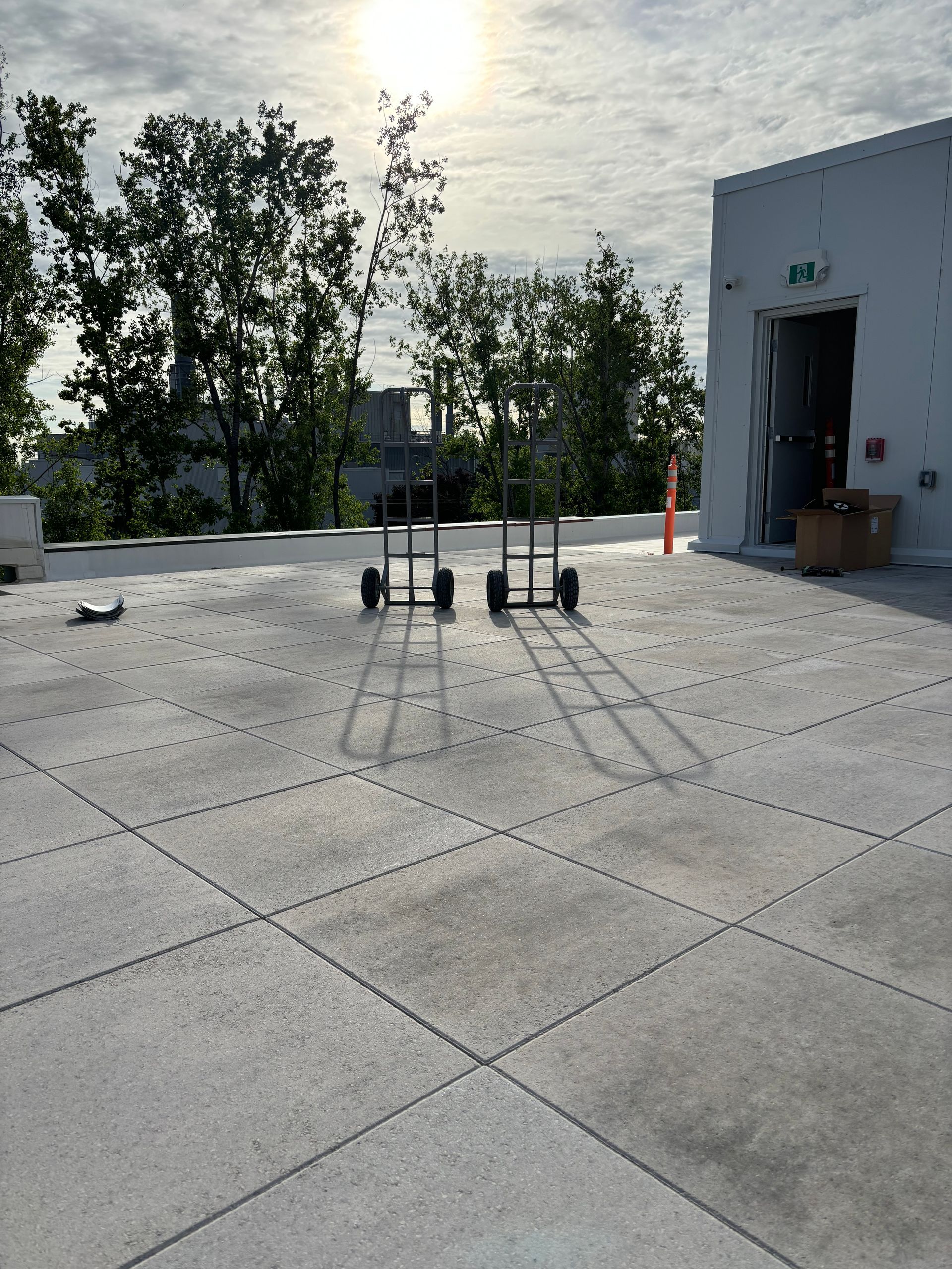 Le soleil brille à travers les arbres sur le toit