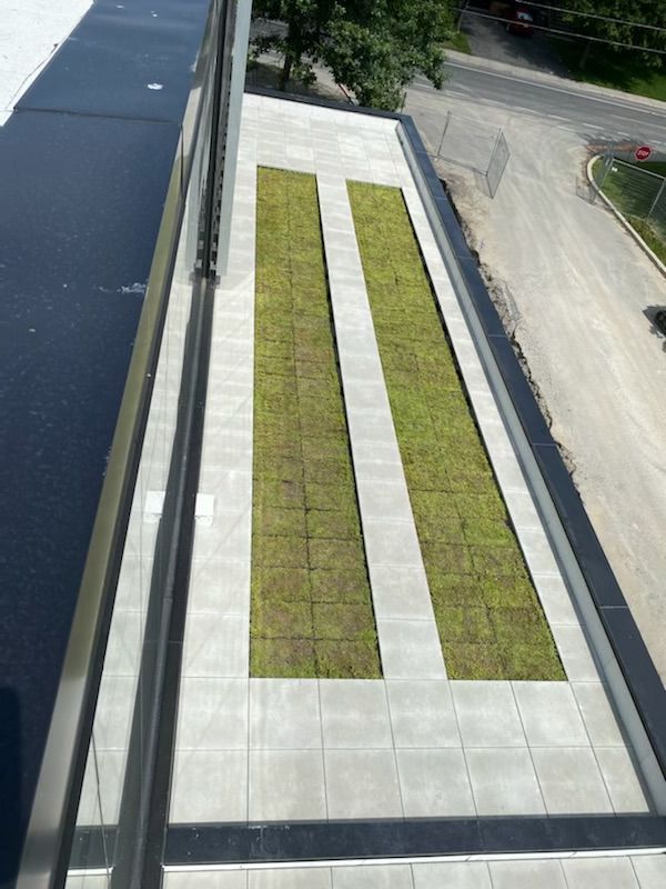 Vue aérienne d'une terrasse sur le toit avec deux parcelles rectangulaires de gazon entourées de dalles carrées gris clair.