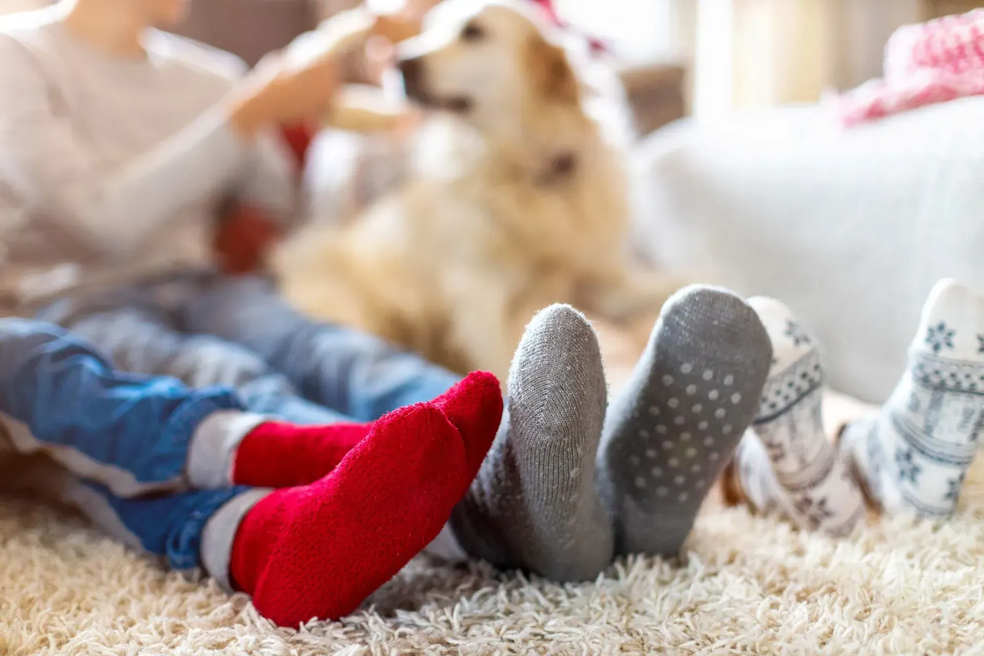 Children and a dog lying on a rug, with colorful socked feet in the foreground