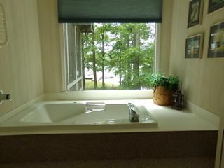 Bathroom with a built-in tub under a window overlooking trees. Green blind, plant in a woven basket.