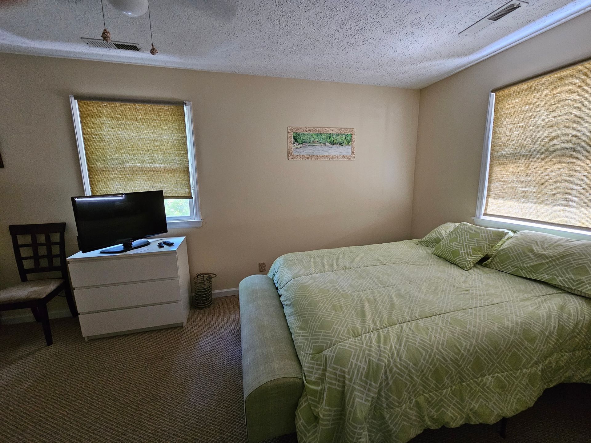 Bedroom with bed, dresser, TV, and window blinds. Light green bedding, tan walls, and patterned carpet.