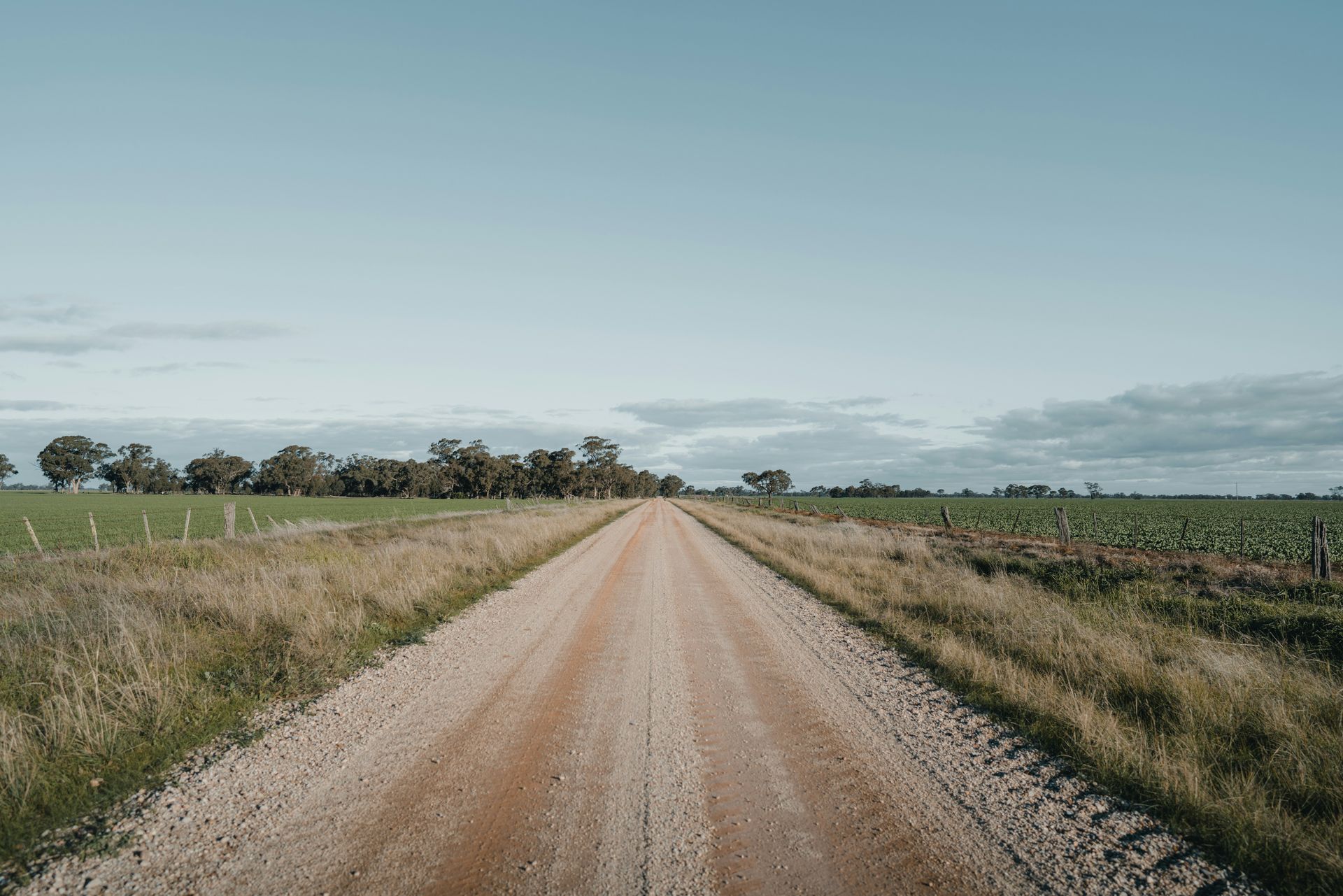Dirt road through crop fields representing private land in Saline County