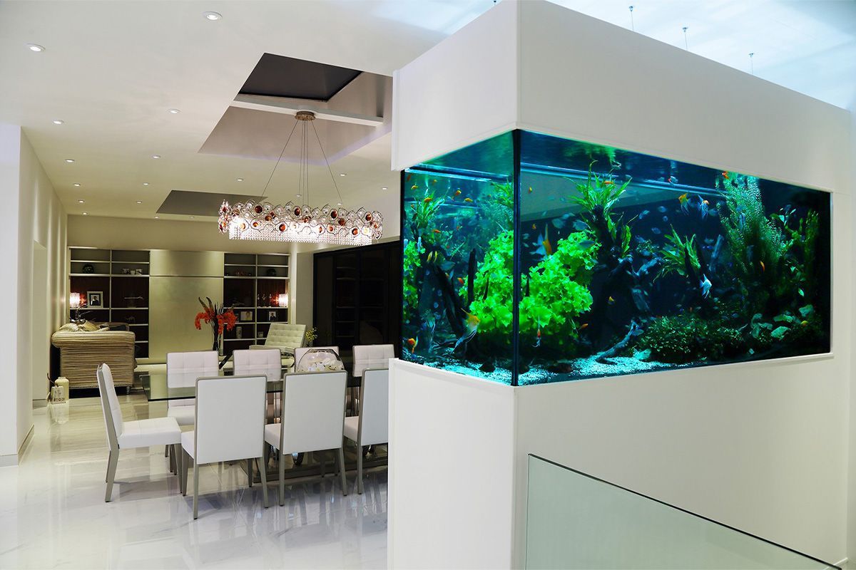 aquarium design ideas