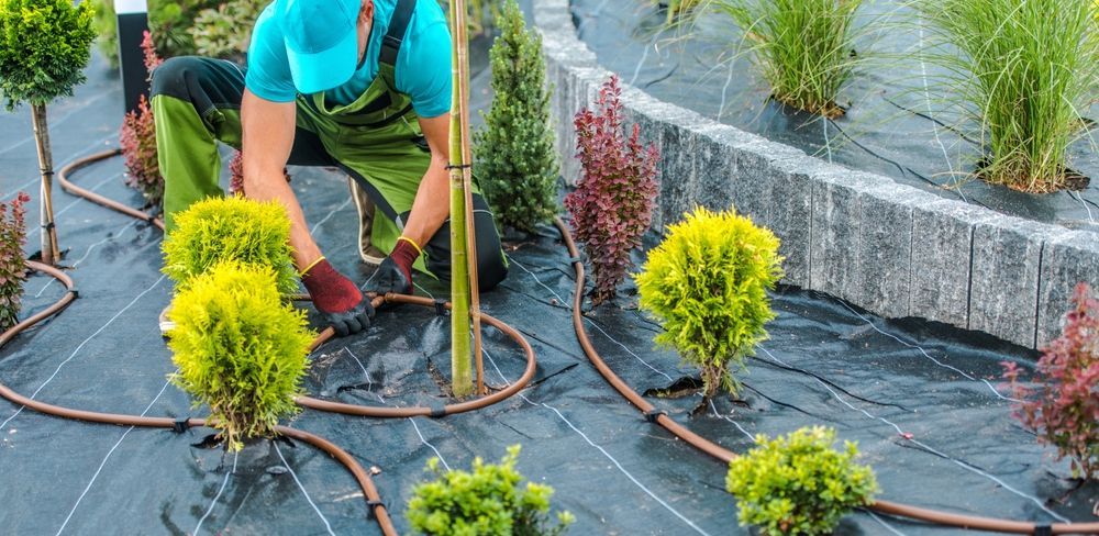 What are the Most Important Things in Landscaping?