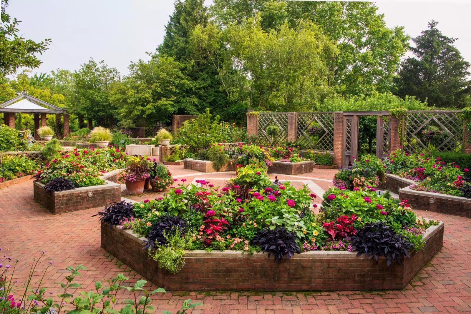 Knot Gardens: A Classic Element of Formal Landscape Design