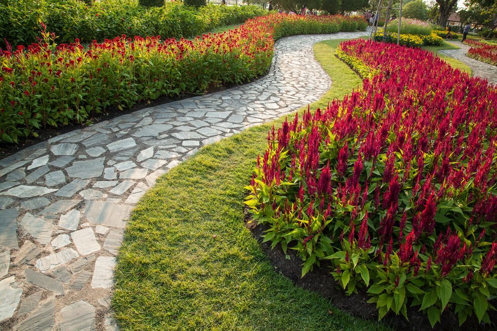 landscaping design ideas