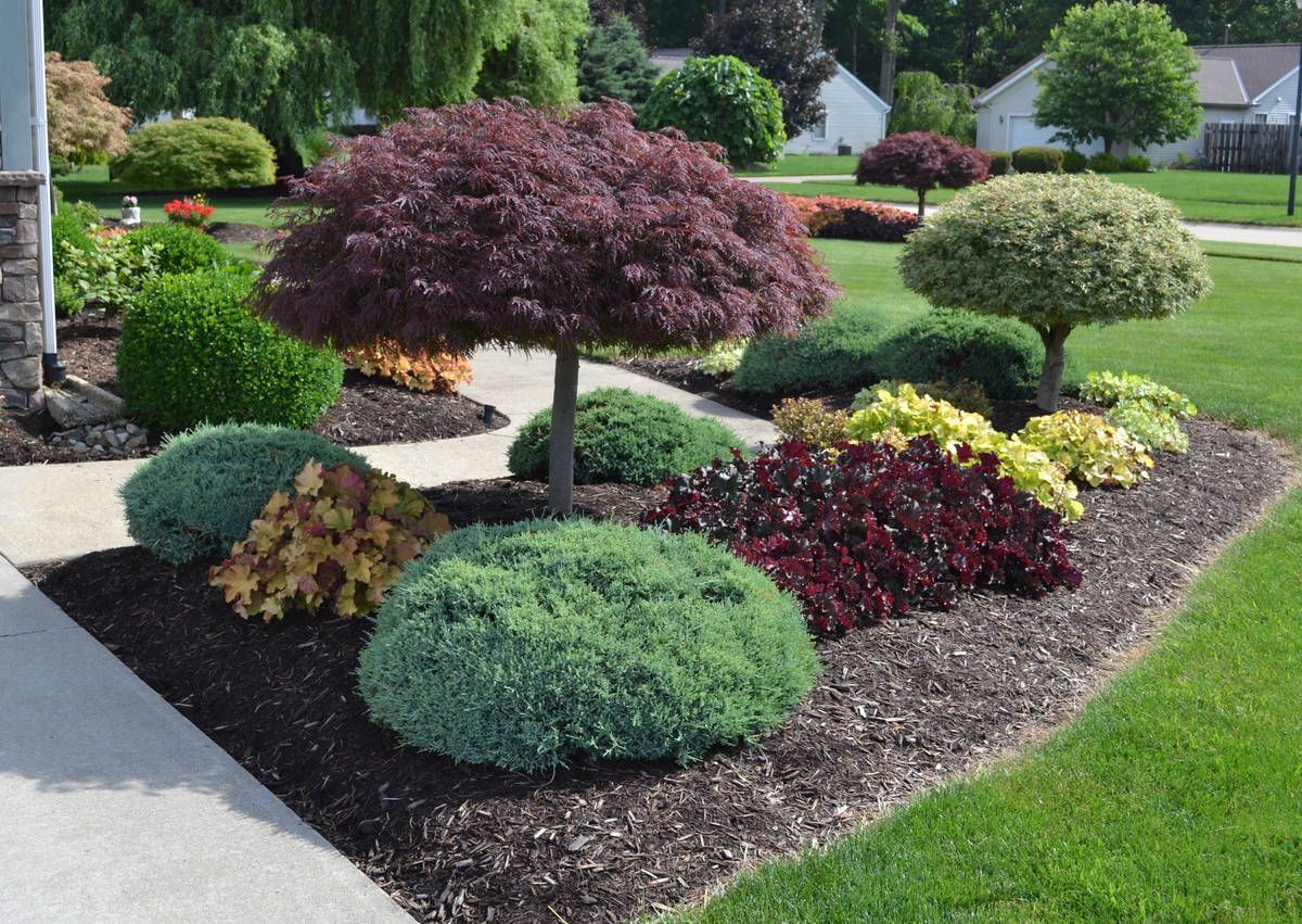 10 principles of landscape design