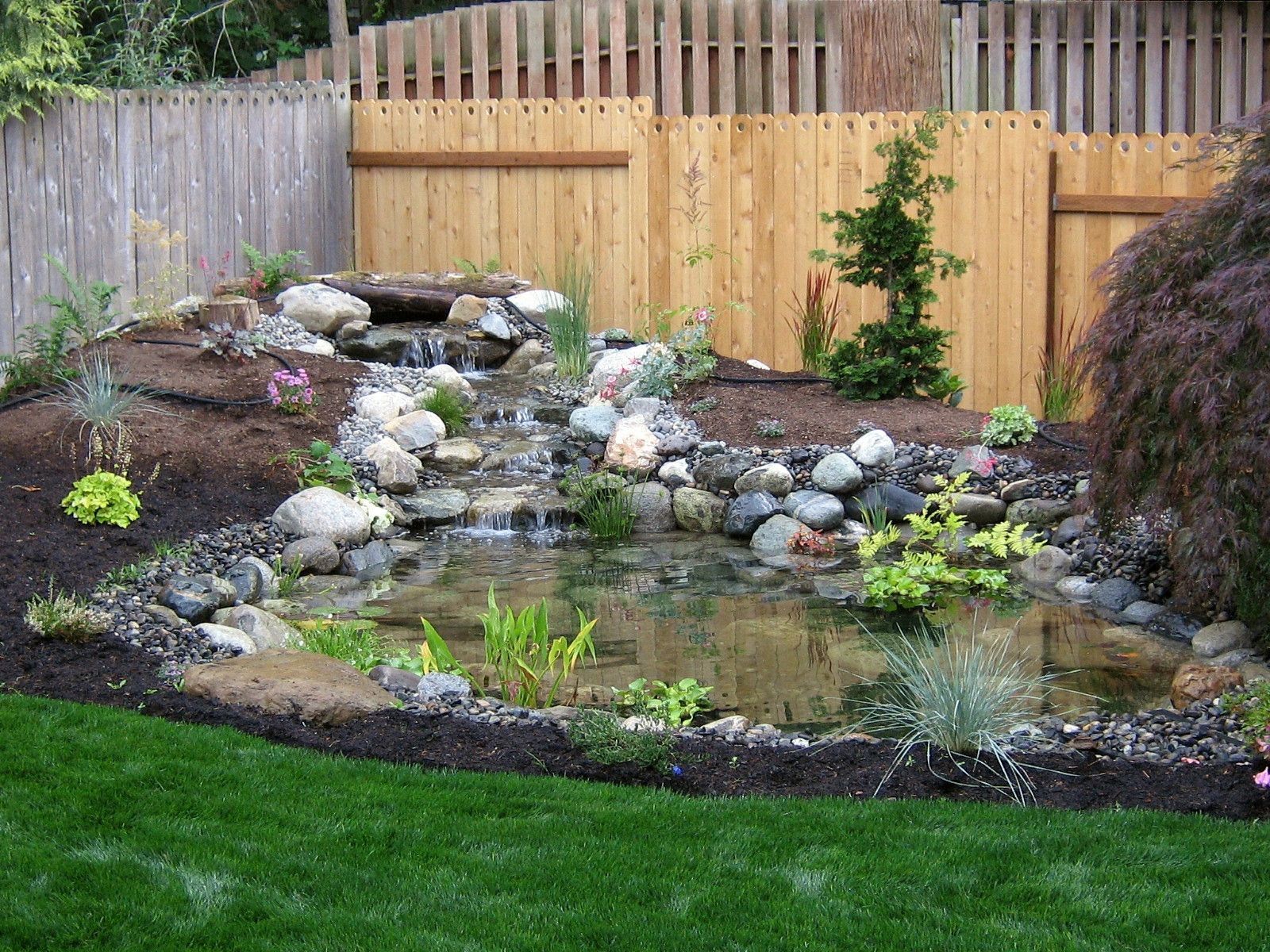 landscaping design