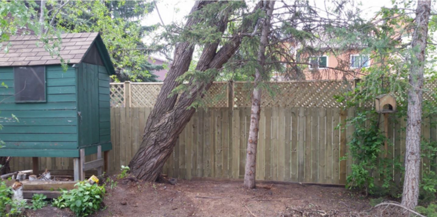 Beautiful backyard fence with lattice, taken in Maple Ride, BC in 2020