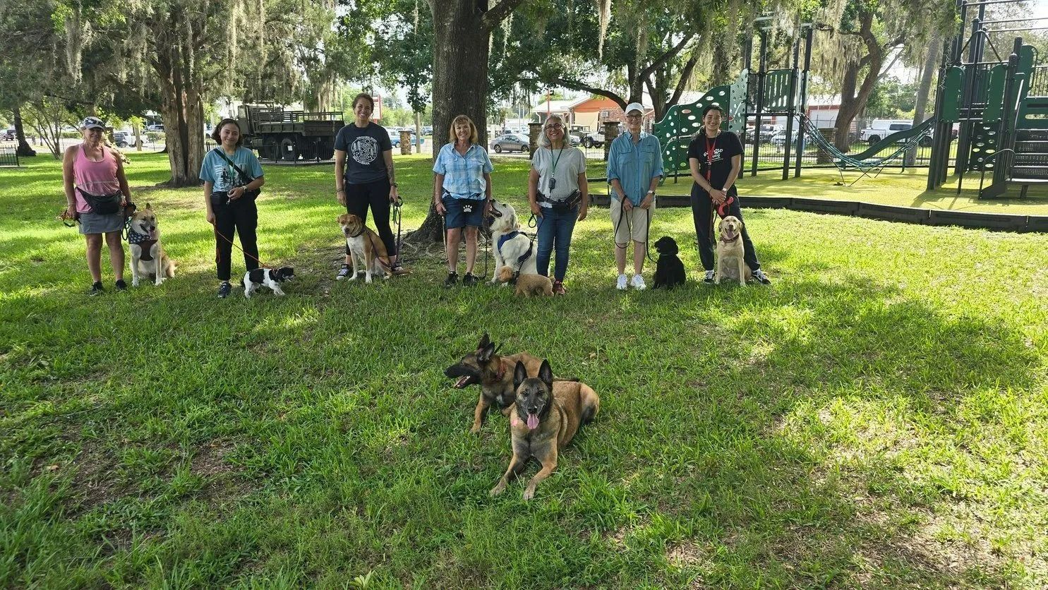 A group of people and their dogs are standing in a park.