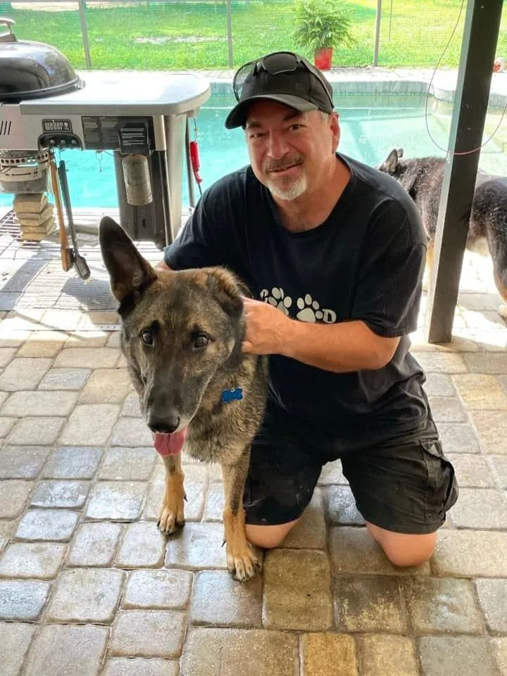 A man is kneeling down next to a german shepherd dog on a patio.
