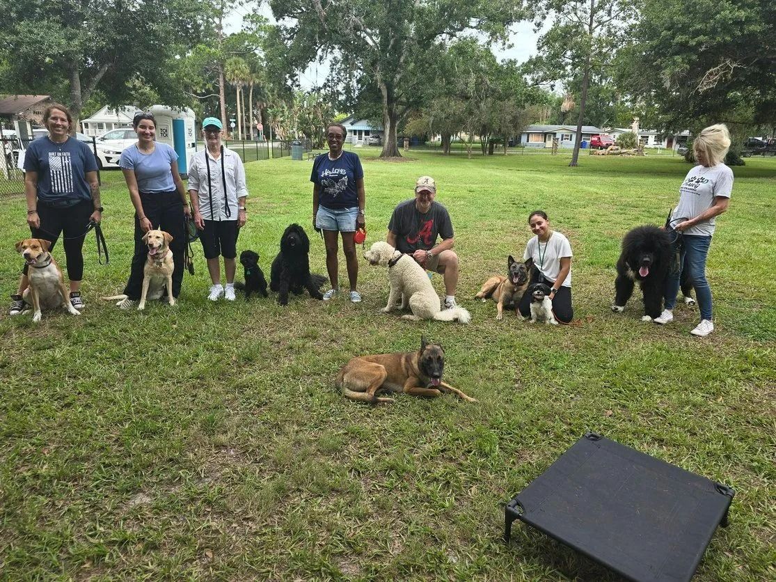 A group of people and their dogs are posing for a picture in a park.