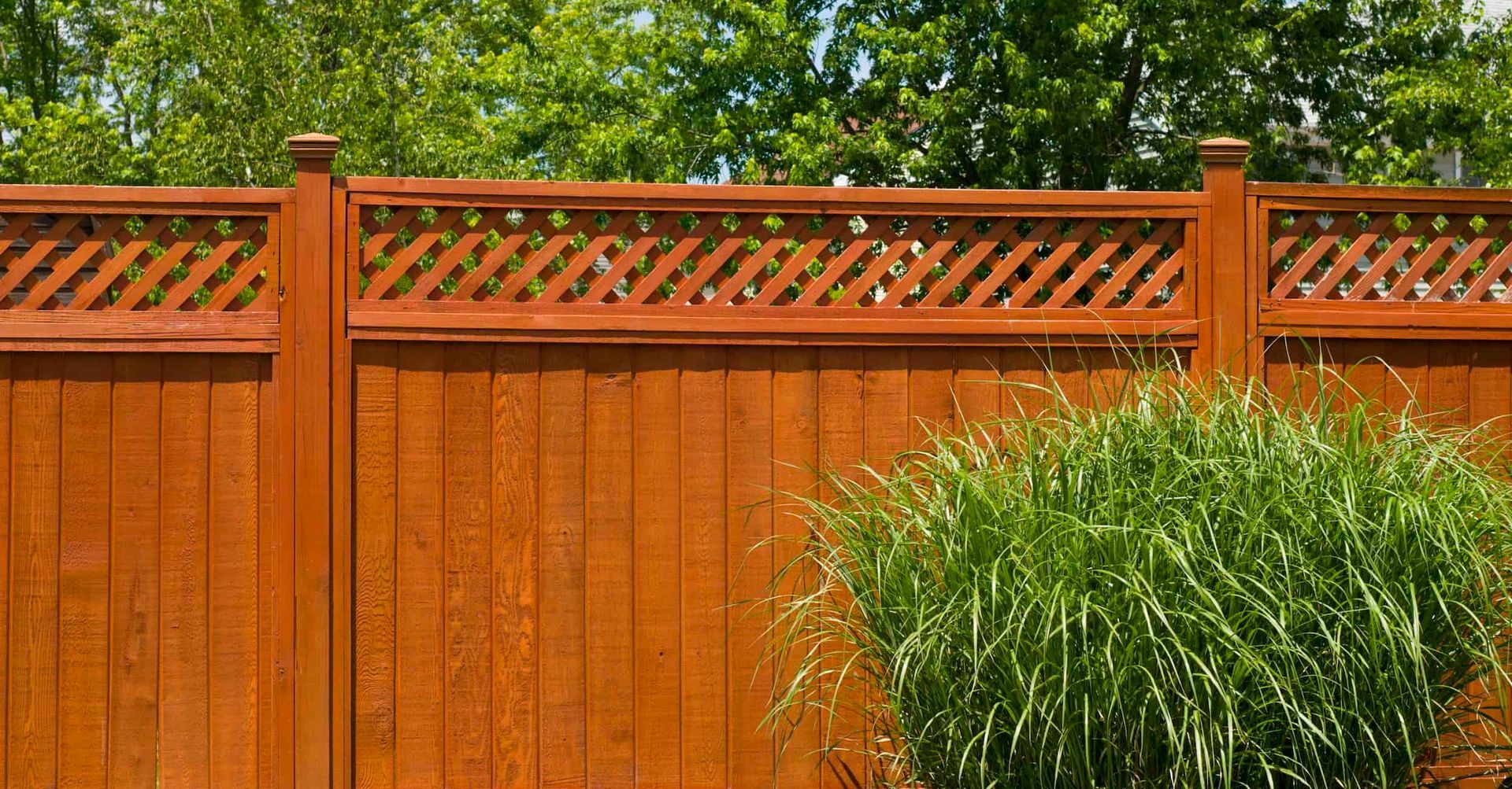 how to take care of your redwood fence