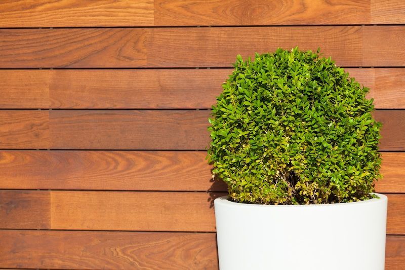 redwood retaining wall enhancing aesthetics