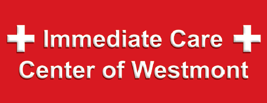 dmg immediate care center lisle