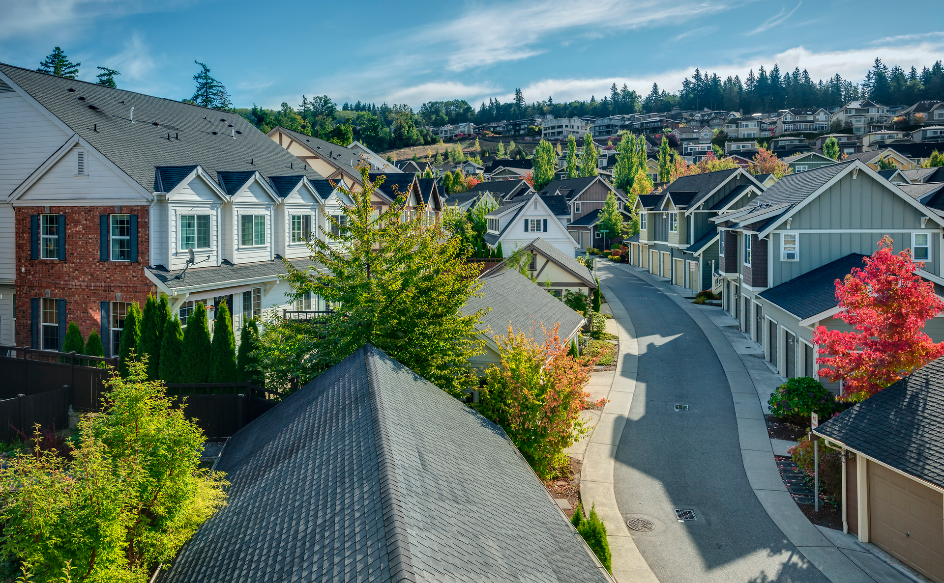 Residential neighborhood, houses lining a curved street, green and red foliage, blue sky.