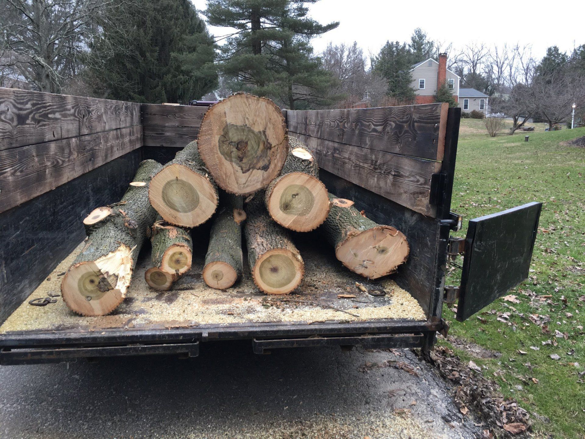 Removed Trees — Newark, DE — C & R Tree Service