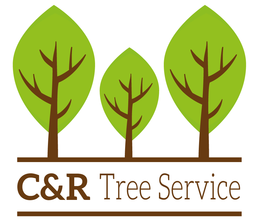 C & R Tree Service