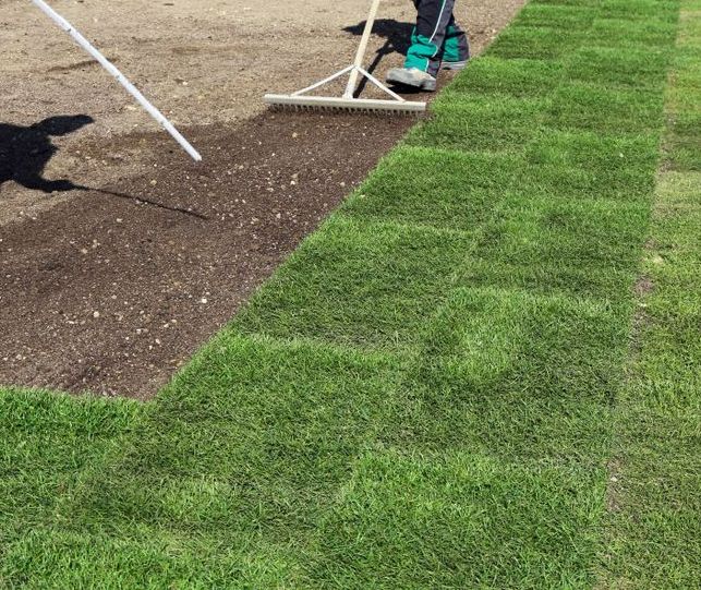 A Person is Raking Dirt on a Lush Green Lawn — Ballina Turf Farm in Wardell, NSW