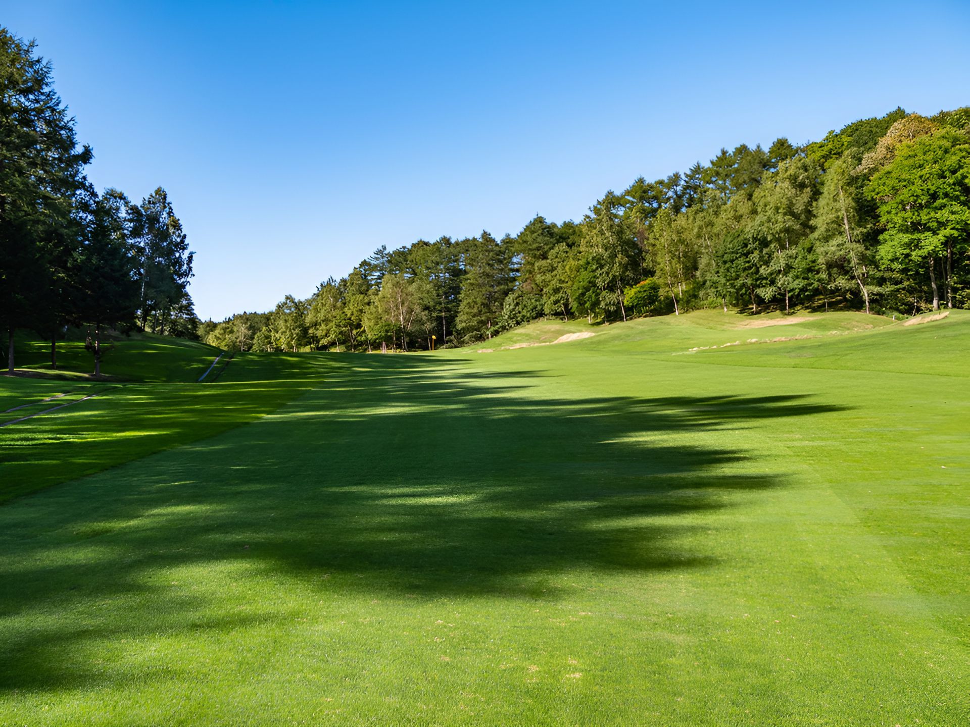 A Golf Course With a Lot of Green Grass and Trees on a Sunny Day — Ballina Turf Farm in Kyogle, NSW