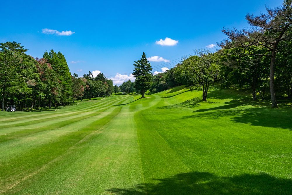 A Golf Course With a Lot of Green Grass and Trees on a Sunny Day — Ballina Turf Farm in Wardell, NSW