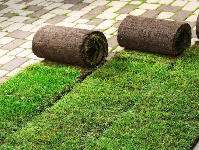 Two Rolls of Grass Are Sitting on Top of Each Other on a Brick Sidewalk — Ballina Turf Farm in Wardell, NSW
