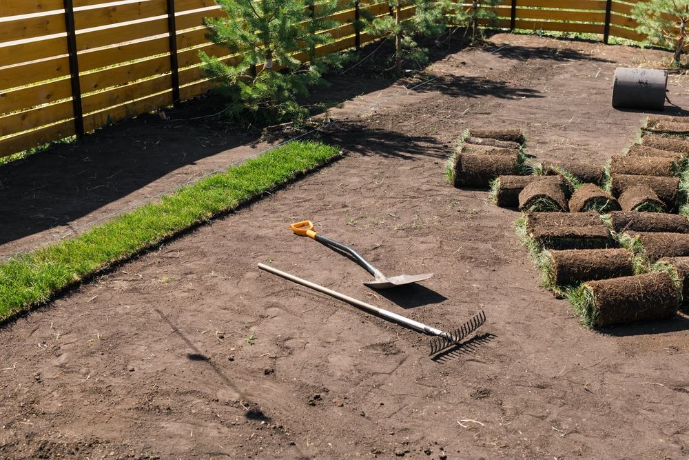 A Shovel and Rake Are Sitting on Top of a Lush Green Lawn — Ballina Turf Farm in Wardell, NSW