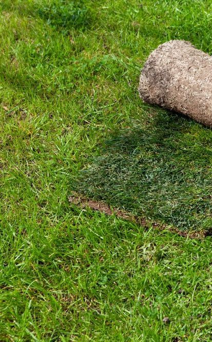 A Roll of Turf is Sitting on Top of a Lush Green Lawn — Ballina Turf Farm in Wardell, NSW
