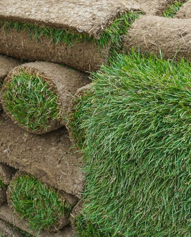 A Pile of Rolls of Turf Sitting on Top of Each Other — Ballina Turf Farm in Brunswick Heads, NSW