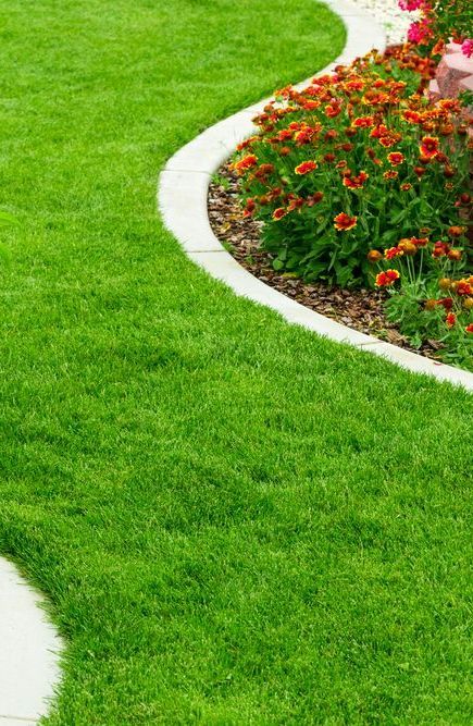 A Lush Green Lawn With Flowers and a Walkway — Ballina Turf Farm in Mullumbimby, NSW