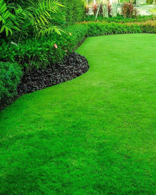 A Lush Green Lawn Surrounded by Trees and Bushes in a Garden — Ballina Turf Farm in Kyogle, NSW