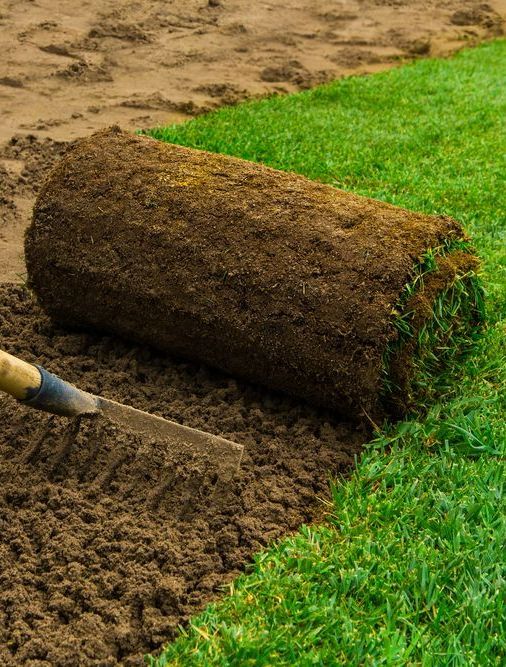 A Person is Raking Dirt Next to a Roll of Turf — Ballina Turf Farm in Bangalow, NSW