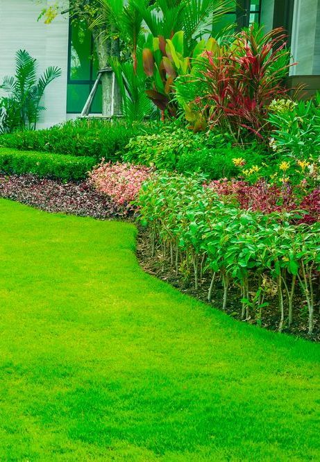 A Lush Green Garden With Lots of Plants and Flowers in Front of a House — Ballina Turf Farm in Lismore, NSW