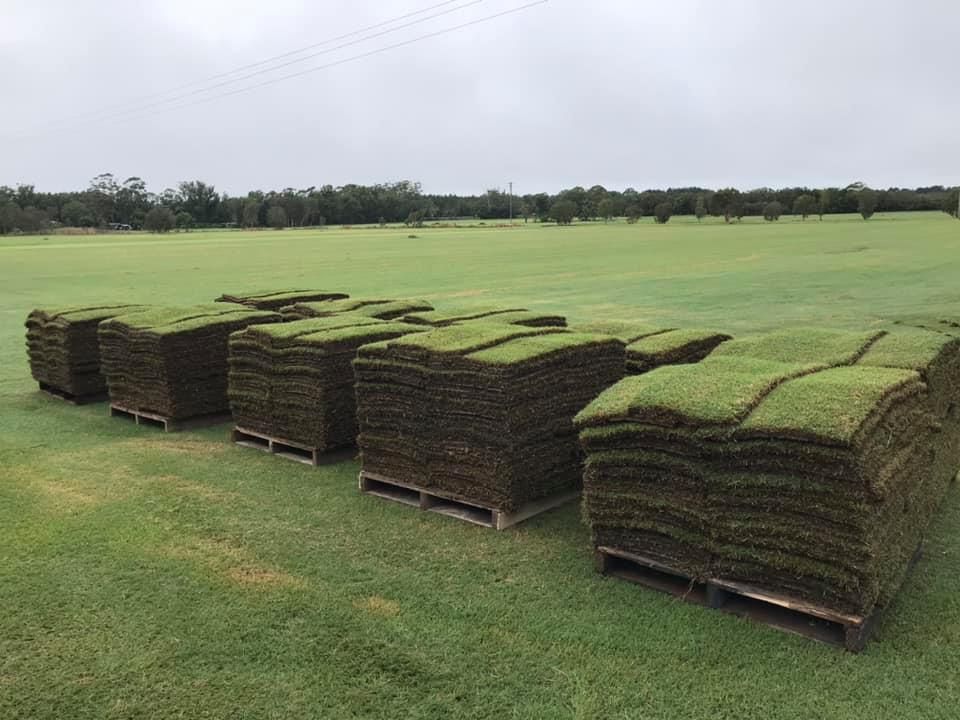 A Bunch of Pallets of Turf Sitting on Top of a Lush Green Field — Ballina Turf Farm in Wardell, NSW