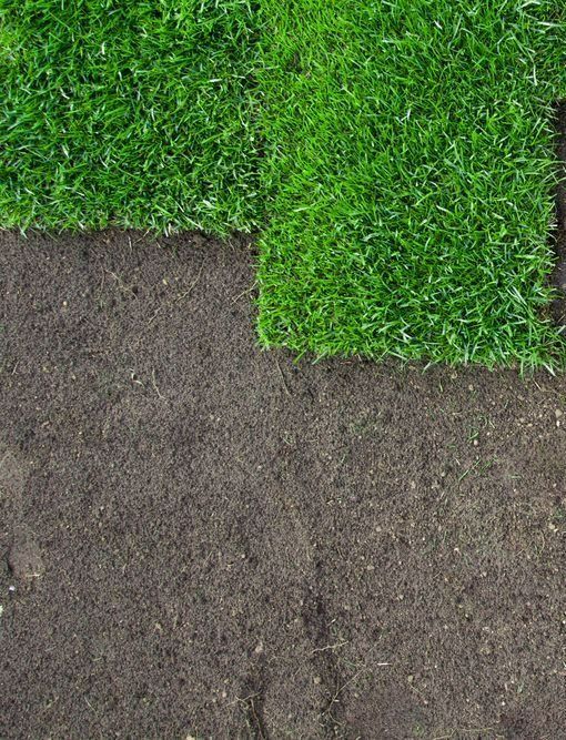 Fresh Green Turf Rolls Being Laid onto Dark, Tilled Soil — Ballina Turf Farm in Kingscliff, NSW