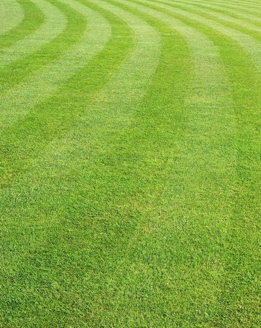 A Field of Lush Green Grass with Alternating Light and Dark Stripes — Ballina Turf Farm in Murwillumbah, NSW
