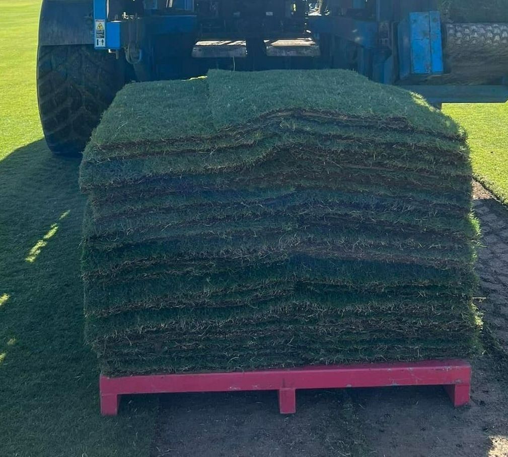 A Rectangular Stack of Green Turf Grass Sits on A Red Pallet — Ballina Turf Farm in Murwillumbah, NSW