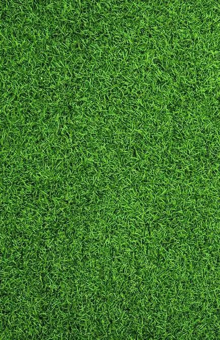 A Top Down View of A Dense, Vibrant Green Lawn of Short Artificial Grass — Ballina Turf Farm in Murwillumbah, NSW